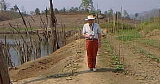 A figure in a hat standing on an exposed embankment among dead trees